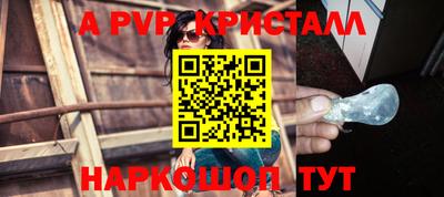 твердый Бердск
